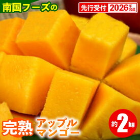 【ふるさと納税】【先行受付】【2026年発送】南国フーズの完熟アップルマンゴー 約2kg - 先行予約 沖縄県産 産地直送 南国フルーツ 旬の味覚 旬のフルーツ 贈り物 ギフト 沖縄県 八重瀬町