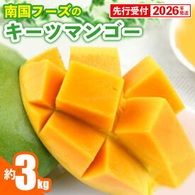 【ふるさと納税】【先行受付】【2026年発送】南国フーズのキーツマンゴー 約3kg - 先行予約 沖縄 産地直送 南国フルーツ 旬の味覚 沖縄県産 国産マンゴー 希少種 オススメ 沖縄県 八重瀬町