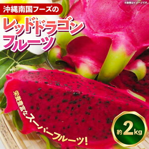 yӂ邳Ɣ[Łzy2025Nz썑t[ỸhSt[c ybhhSt[cz 2kg -  ʓ bh s^ X[p[t[c lC R_p x^VAj  Y 