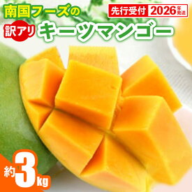 【ふるさと納税】【先行受付】【2026年発送】南国フーズのキーツマンゴー 訳あり 約3kg - 先行予約 沖縄 産地直送 南国フルーツ ご家庭用 ご自宅用 国産マンゴー 希少種 オススメ 沖縄県 八重瀬町