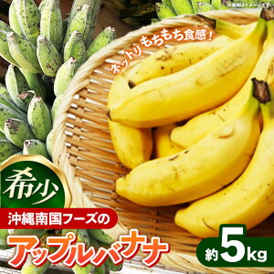 yӂ邳Ɣ[ŁzY 󏭎I썑t[ỸAbvoii 5kg - oii ΂Ȃ Ԃ ꌧ Yn ʕ t[c 썑 H  ꌧ d