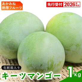 【ふるさと納税】【化粧箱入】【先行受付・2026年発送】あかみね熱帯フルーツのキーツマンゴー約1kg - 先行予約 沖縄県産 産地直送 南国フルーツ 旬の味覚 季節の果物 希少種 化粧箱 ギフト 沖縄県 八重瀬町
