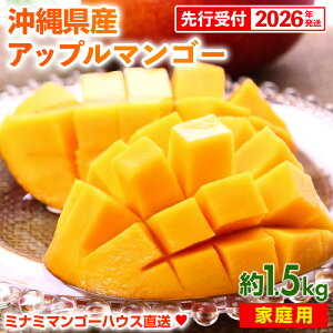yӂ邳Ɣ[Łzystzy2026Nz~i~}S[nEX̃Abv}S[ ƒp 1.5kg- s\ ꌧY Yn 썑t[c {̖o p IXX ꌧ d