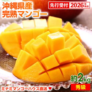 yӂ邳Ɣ[Łzystzy2026Nz~i~}S[nEX̊nAbv}S[yGz2kgi4`6ʁj- s\ ꌧY Yn 썑t[c {̖o {̃t[c 蕨 