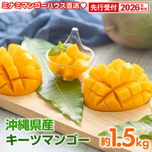 yӂ邳Ɣ[Łzys\zy2026Nz~i~}S[nEX̃L[c}S[1.5kg - s\ Yn Y Y ʕ t[c 썑t[c gsJt[c {̖o lC 