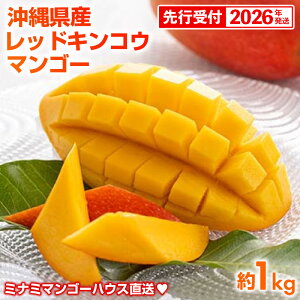 yӂ邳Ɣ[Łzystzy2026Nz~i~}S[nEX̐ԋ(bhLREj}S[1kg - s\ ꌧY Yn 썑t[c {̖o 󏭎 󏭍͔| IXX 