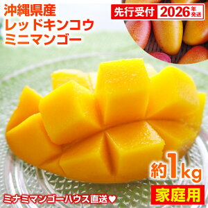 yӂ邳Ɣ[Łzystzy2026Nz~i~}S[nEX̐ԋ(bhLREj~j}S[1kg yƒpz- s\ ꌧY Yn 썑t[c {̖o 󏭎 