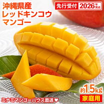 楽天市場】マンゴー 沖縄 1.5kgの通販