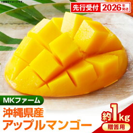 【ふるさと納税】【先行受付】【2026年発送】MKファームの贈答用アップルマンゴー約1kg【贈答用】- 贈答用 ギフト 先行予約 沖縄県産 産地直送 南国フルーツ 旬の味覚 アップルマンゴー オススメ 沖縄県 八重瀬町