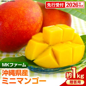 yӂ邳Ɣ[Łzystzy2026NzMKt@[̑p~j}S[1kgypz- p Mtg s\ ꌧY Yn 썑t[c {̖o ~j}S[ IXX 