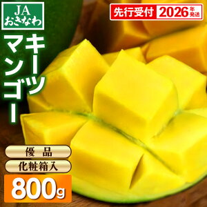 yӂ邳Ɣ[ŁzyϔzystE2026NzJAȂ̎YL[c}S[ 800gyDiz- s\  Yn 썑t[c {̖o 蕨 Mtg IXX ꌧ d
