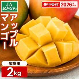 【ふるさと納税】【先行受付】【2026年発送】JAおきなわの産直アップルマンゴー 約2kg【ご家庭用・白箱】- 先行予約 沖縄 産地直送 季節の果物 旬の味覚 ご自宅用 トロピカルフルーツ 沖縄県 八重瀬町