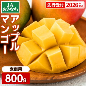 yӂ邳Ɣ[Łzystzy2026NzJAȂ̎YAbv}S[ 800g@2~4ʓyƒpEz- s\  Yn 썑t[c {̖o ƒp IXX 