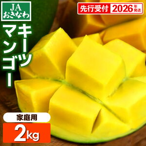 yӂ邳Ɣ[Łzystzy2026NzJAȂ̎YL[c}S[iƒpj2kgE2`6ʁyǕiEz- s\  Yn 썑t[c {̖o ƒp 2L IXX