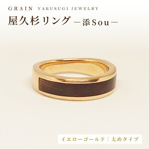 yӂ邳Ɣ[ŁzyOCzvO -߃^Cv- YiSouj-uCG[S[h^Cvv- Y fB[X j  ANZT[ 蕨 Mtg   w ؐi 