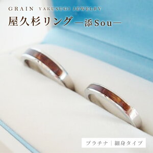 yӂ邳Ɣ[ŁzyOCzvO|אg^Cv |YiSouj| v`i - Y fB[X j  ANZT[ 蕨 Mtg   w ؐi _ lC 