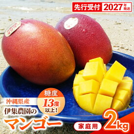 【ふるさと納税】【先行受付】【2027年発送】【糖度13度以上】 伊集農園 沖縄県産マンゴー ご家庭用 約2kg - 先行予約 沖縄 産地直送 南国フルーツ 旬の味覚 家庭用 2キロ オススメ 沖縄県 八重瀬町
