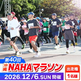 【ふるさと納税】【県外在住者限定】第40回 NAHAマラソン ふるさと納税出走権 - 那覇マラソン マラソン 出走権 エントリー 沖縄 スポーツ 運動 沖縄県 八重瀬町