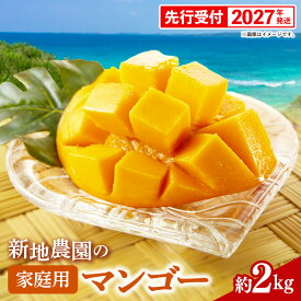 【ふるさと納税】【先行受付】【2027年発送】新地農園 アップルマンゴー 家庭用 約2kg - ご自宅用 先行予約 沖縄県産 産地直送 南国フルーツ 旬の味覚 オススメ 沖縄県 八重瀬町