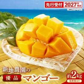 【ふるさと納税】【化粧箱入り】【先行受付・2027年発送】新地農園 アップルマンゴー 優品 約2kg （4～6玉）- 産地直送 先行予約 沖縄県産 贈り物 ギフト 南国フルーツ 旬の味覚 オススメ 沖縄県 八重瀬町