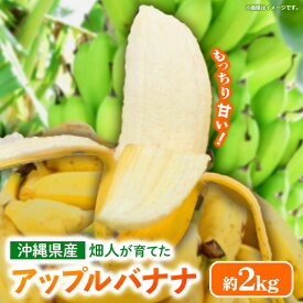 【ふるさと納税】畑人のアップルバナナ 約2kg - バナナ ばなな 小ぶり もっちり とろける 甘さ 追熟 沖縄県 産地直送 果物 フルーツ 南国 朝食 おすすめ 沖縄県 八重瀬町