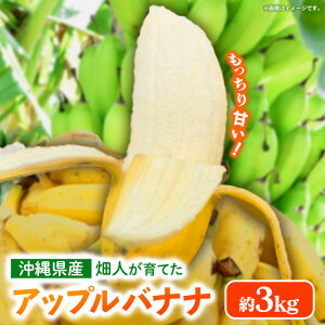 �ԗ�i�摜