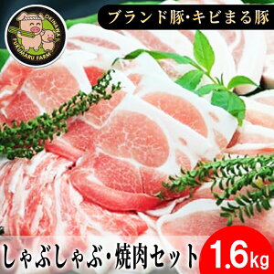 yӂ邳Ɣ[Łzꁚuh؃Lr܂؁v1,600g ԂԁEēZbg - ؓ  200g 1.6kg  ē Ef Ԃ lC ؂ XCX  uh 