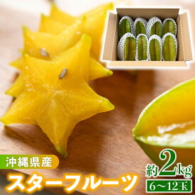 【ふるさと納税】沖縄県産 スターフルーツ約2kg(6～12玉) - 果物 フルーツ 南国 スターフルーツ 五歛子 厳選 沖縄県 八重瀬町