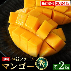 【ふるさと納税】【先行受付】【2024年発送】神谷ファームのマンゴー（秀）約2kg