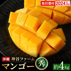 【ふるさと納税】【先行受付】【2024年発送】神谷ファームのマンゴー（秀）約4kg