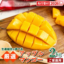 楽天市場】マンゴー 6kgの通販
