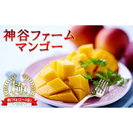 【ふるさと納税】【2020年発送】神谷ファームのマンゴー（極）約1Kg