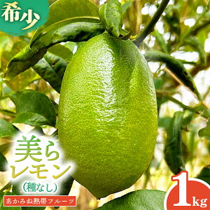 yӂ邳Ɣ[ŁzyȂz݂˔Mуt[c̔烌 1kg - Y 󏭎 ʏ` Ղ g₷ EG  Lemon  ꌧ d
