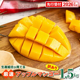 【ふるさと納税】【先行受付】【2026年発送】生産組合が育てるアップルマンゴー 訳あり品 約1.5kg - 先行予約 沖縄県産 産地直送 南国フルーツ 旬の味覚 季節の果物 ご自宅用 家庭用 沖縄県 八重瀬町