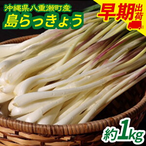 yӂ邳Ɣ[ŁzꌧdY 傤1kgyoוz - Y 傤 Ð|Ђ Е VՂ `v[ L@͔|  