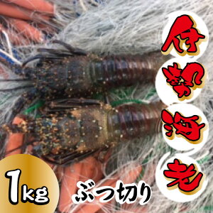 ふるさと納税 伊勢海老の人気商品 通販 価格比較 価格 Com