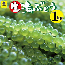 楽天市場 海 ぶどう 養殖の通販