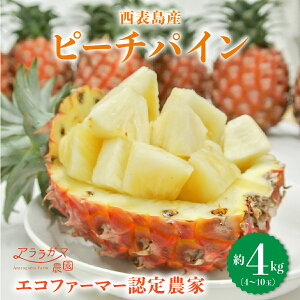 yӂ邳Ɣ[ŁzAK}_˂̃s[`pCB荂lCNO.1Iʗ1Åns[`pC@s[`pC2`4kgi2`10ʁjyʕl t[cz ͂F20