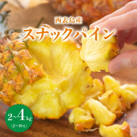 【ふるさと納税】【内容量が選べる】知名度NO.1！糖度が高く真っ黄色な新感覚パイン☆　ちぎって食べるスナックパイン2〜4kg（2～10玉）お届け：2026年5月〜6月
