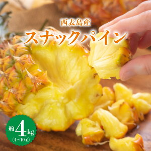 yӂ邳Ɣ[ŁzyeʂIׂzmxNO.1Ix^FȐVopC@ĐHׂXibNpC2`4kgi2`10ʁj͂F2026N5`6