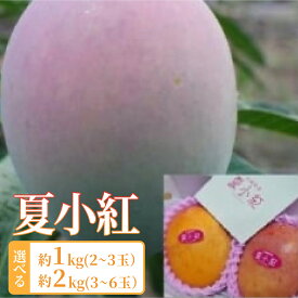 【ふるさと納税】【内容量が選べる】2026年 先行予約 マンゴー 夏小紅 約1〜2kg (2～6玉) ますみ農園 甘味 スッキリ 果物 フルーツ