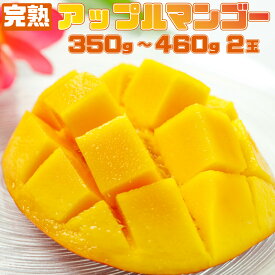 【ふるさと納税】完熟 アップルマンゴー 2L 350g〜460g 2玉 マンゴー 果物 デザート 品評会連続入賞 2025年 発送 ますみ農園 【 竹富町 】 お届け：2025年6月下旬〜7月下旬