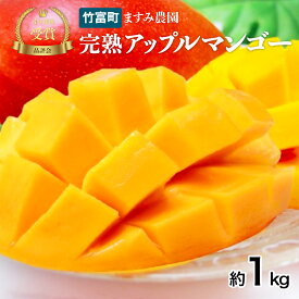 【ふるさと納税】2025年 先行予約 アップルマンゴー 約1kg 2〜4玉 完熟 マンゴー ますみ農園 果物 フルーツ　【果物・フルーツ・マンゴー・アップルマンゴー・約1kg・完熟】　お届け：2025年6月下旬〜7月下旬