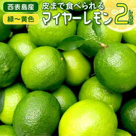 【ふるさと納税】【2025年発送】まろやか多汁マイヤーレモン （島レモン）約2kg 【 果物類 柑橘類 レモン 檸檬 マイヤーレモン 】 お届け：2025年7月15日〜2025年12月25日