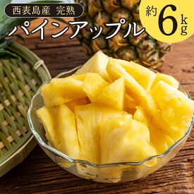 【ふるさと納税】完熟 パインアップル 約6kg 水鴨農園 パイン パイナップル 果物 フルーツ　【竹富町】　お届け：2025年5月中旬〜7月下旬