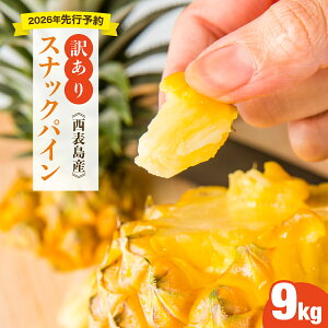 yӂ邳Ɣ[ŁzIׂe 󂠂I2026Ns\@傫sIɂςXibNpC4kg/9kgZbg