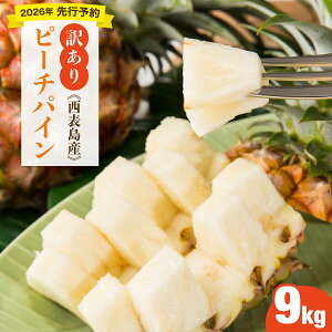 yӂ邳Ɣ[ŁzyIׂeʁz󂠂I2026N s\ 傫s Iɂςs[`pC4kg/9kgZbg