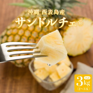 yӂ邳Ɣ[ŁznNTh`F(R) 3kg(2`3 )2026N s\ pC \Y Ai  \Y ʕ t[c