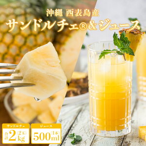 yӂ邳Ɣ[ŁznNTh`F(R) 2kg(2)ƊÂƋlߍ100pCibvW[X1{@pC@ʕ@t[c