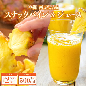 yӂ邳Ɣ[Łz2026N s\ nNXibNpC2kg i2ʁjƊÂƋlߍ100 pCibvW[X 1{